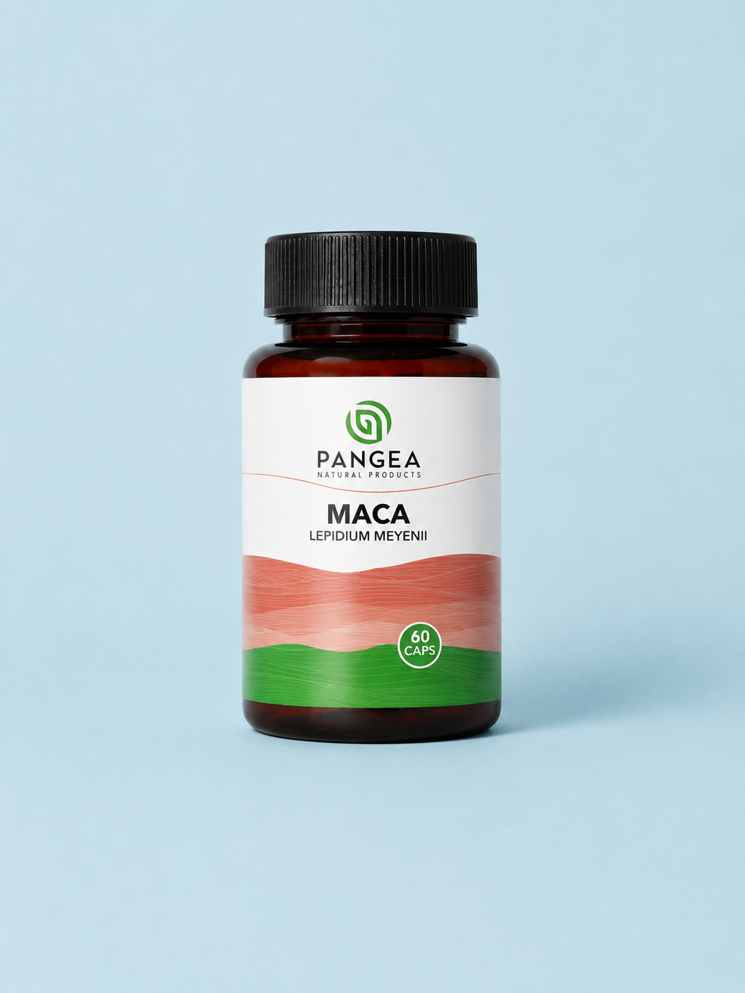 MACA